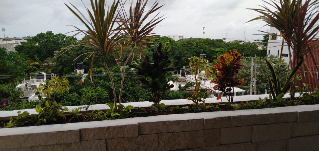 Suites Calle 38 Playa del Carmen Bagian luar foto