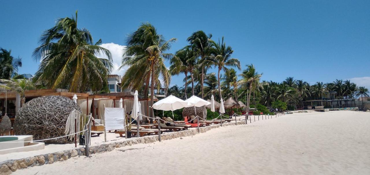 Suites Calle 38 Playa del Carmen Bagian luar foto