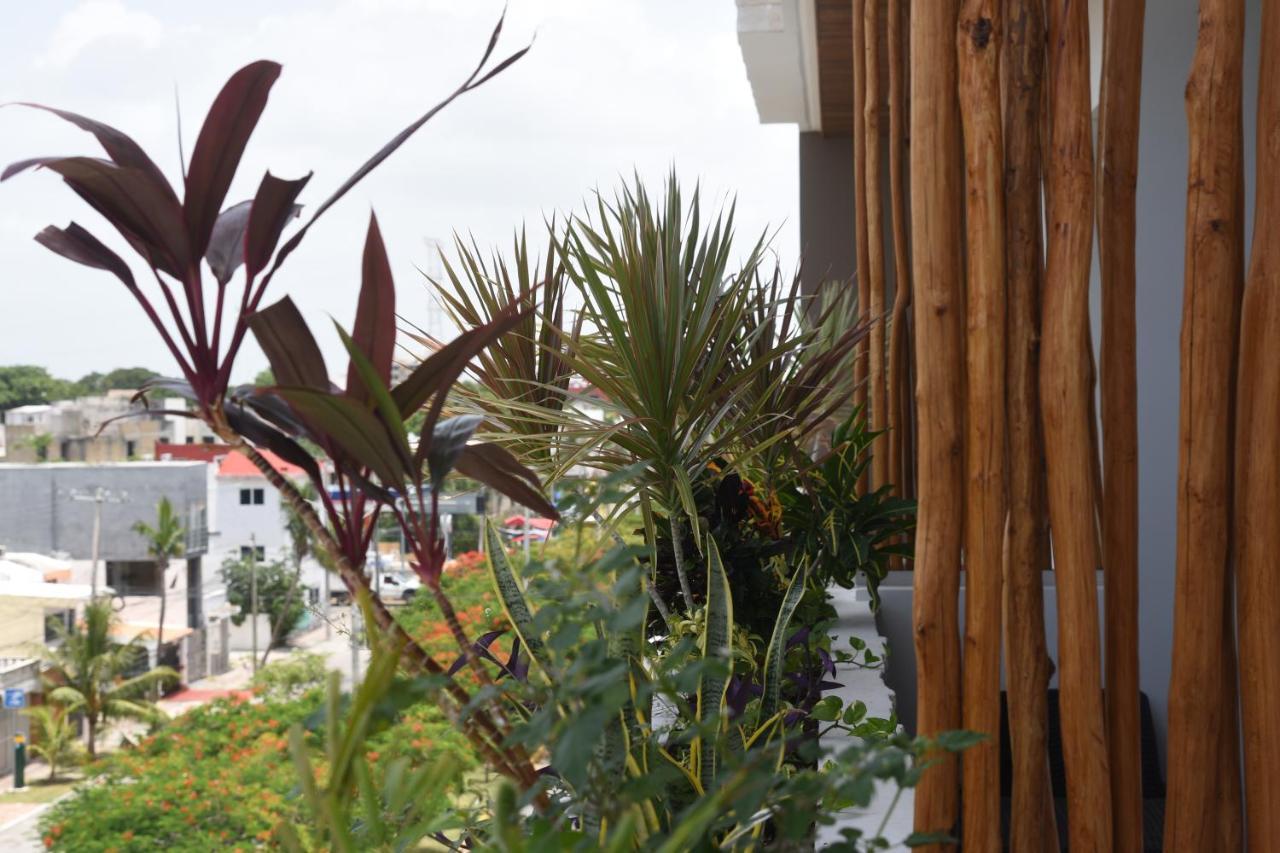 Suites Calle 38 Playa del Carmen Bagian luar foto